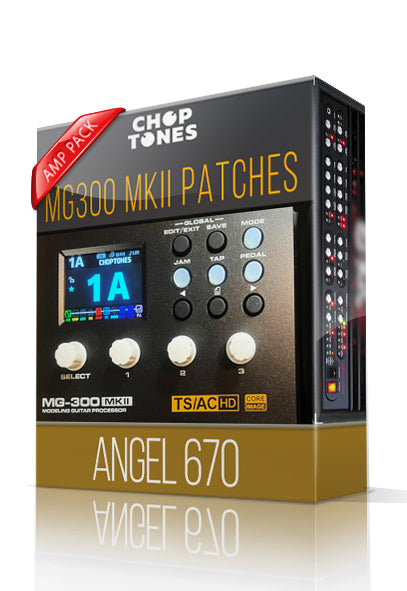 Angel 670 Amp Pack for MG-300 MKII